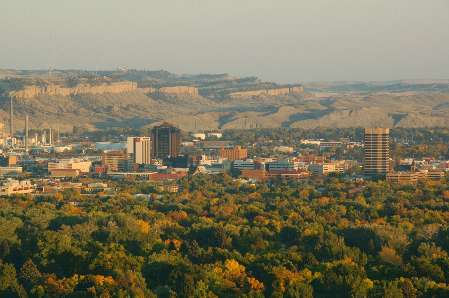 Billings SEO Services | RIVERRISE — Bozeman, MT