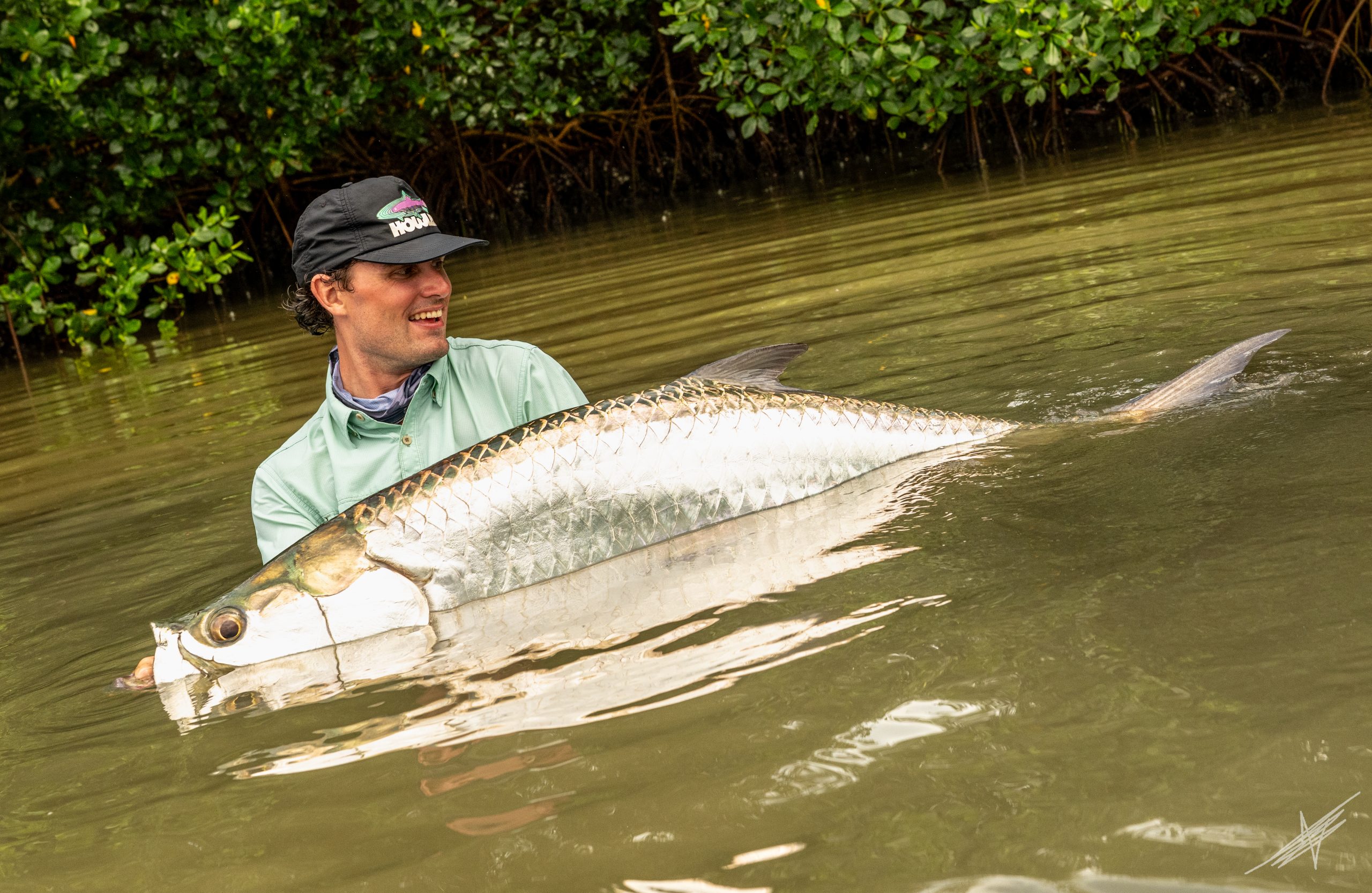 Fishing guide holding a tarpon in the water