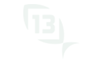13 Fishing logo